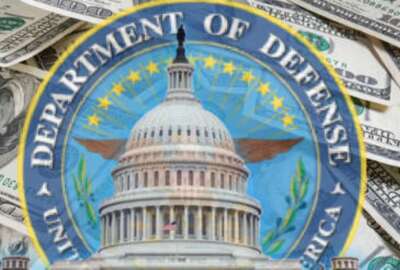 NDAA, POGO, 2025 National Defense Authorization Act