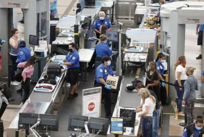 TSA, pay